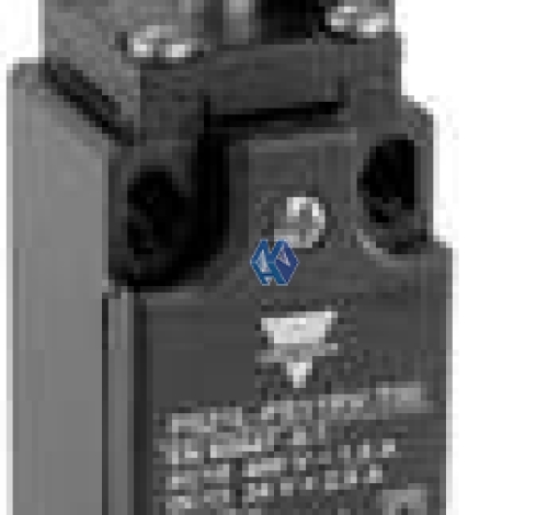 PS21L-MS11RV-T00